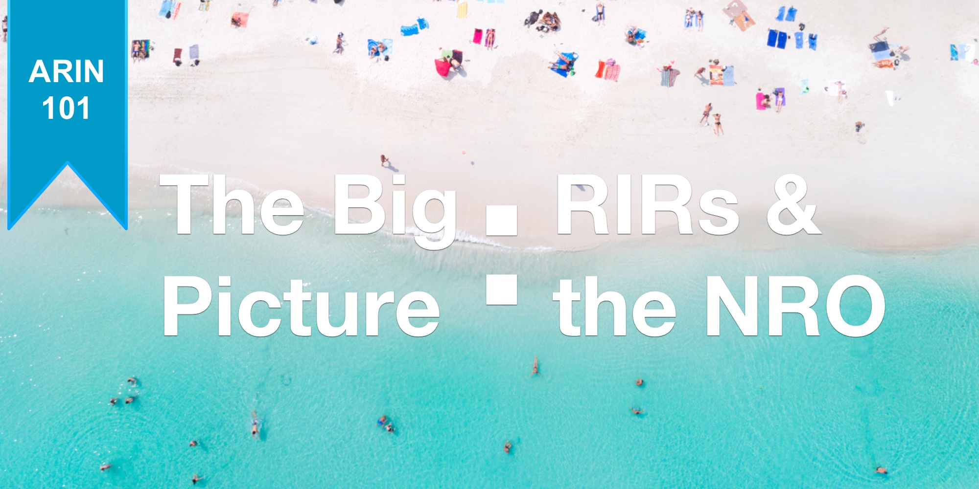 The Big Picture: RIRs and the NRO