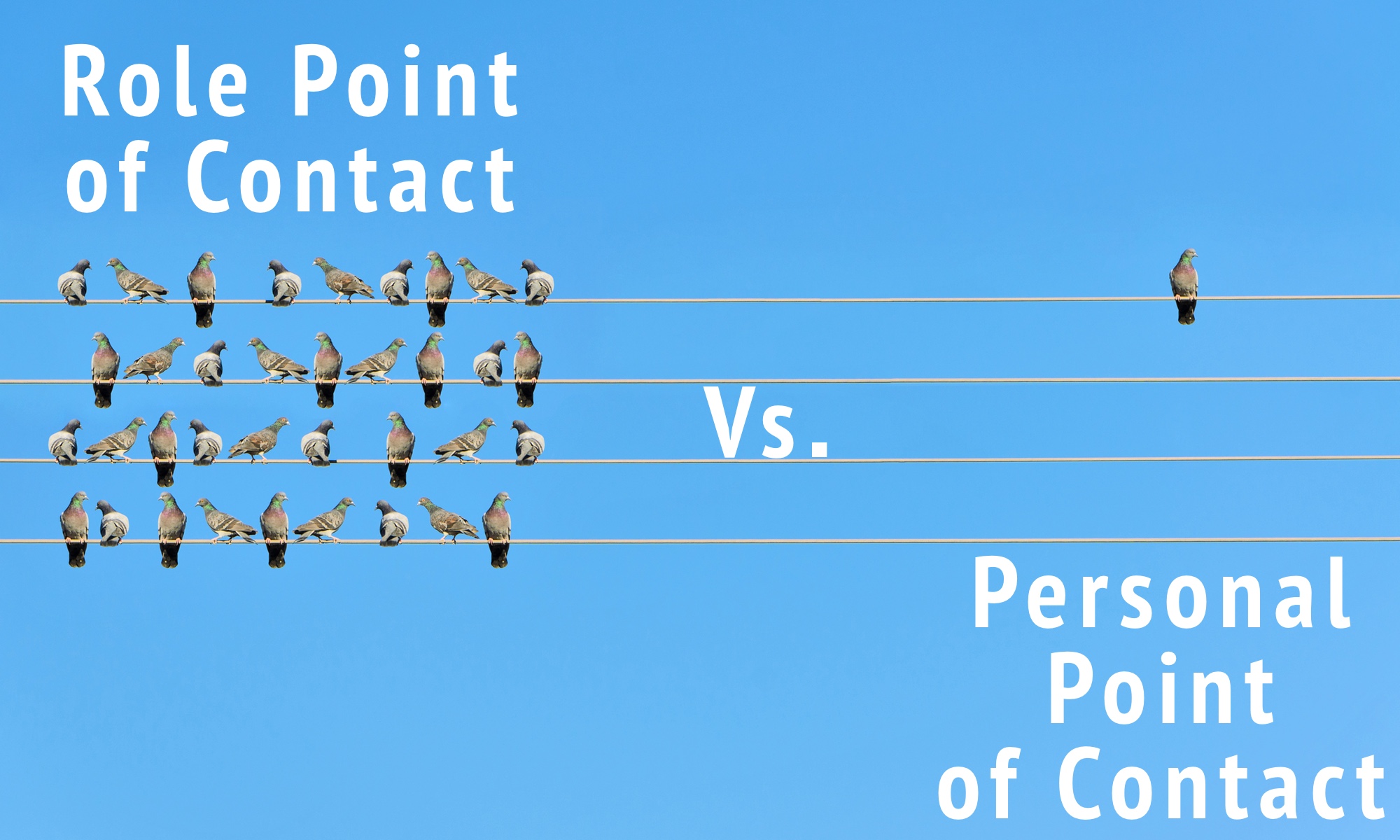 How a Role Point of Contact Can Help You Better Manage Your ARIN Resources