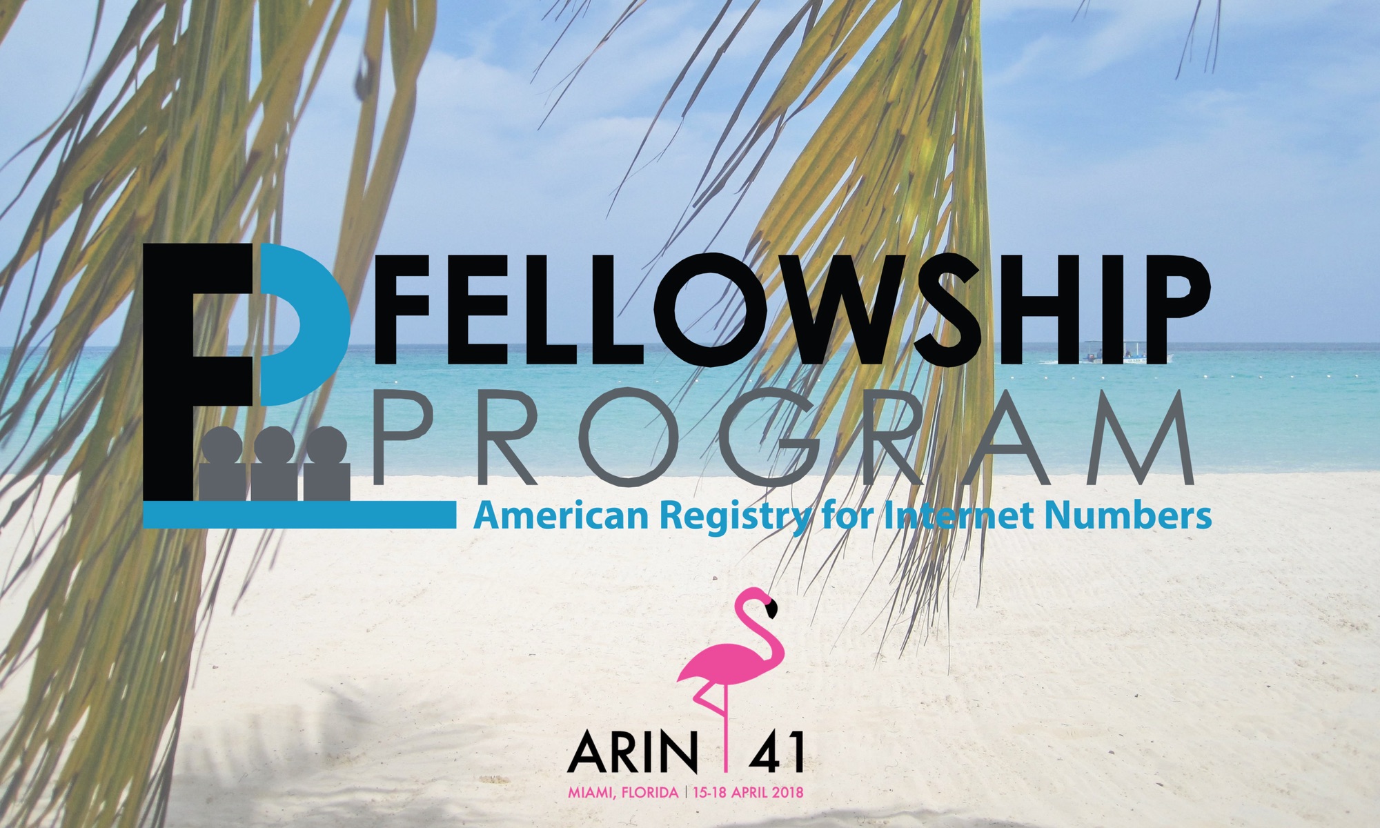 Introducing the ARIN 41 Fellows!