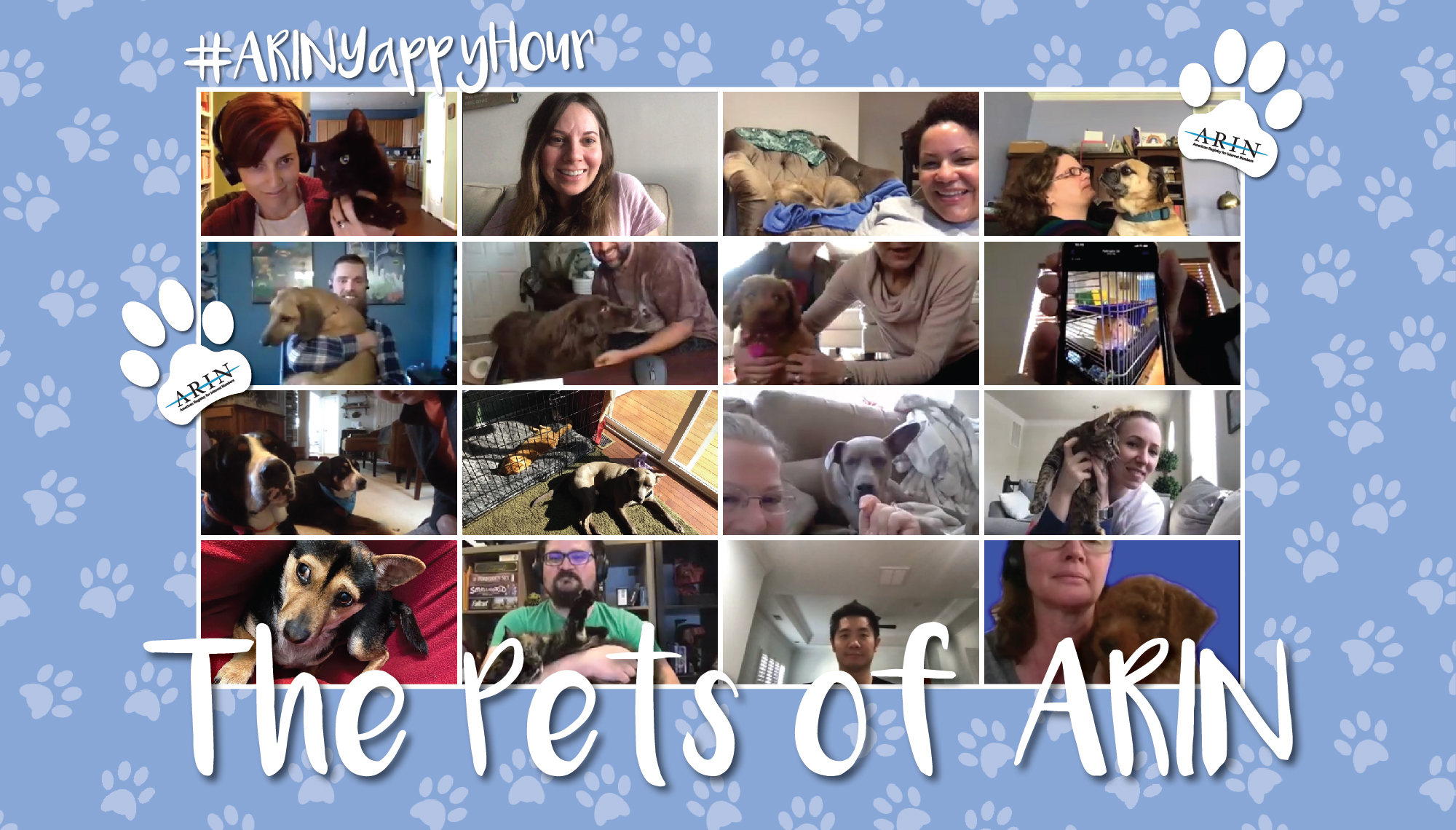 Pets of ARIN "Yappy" Hour!