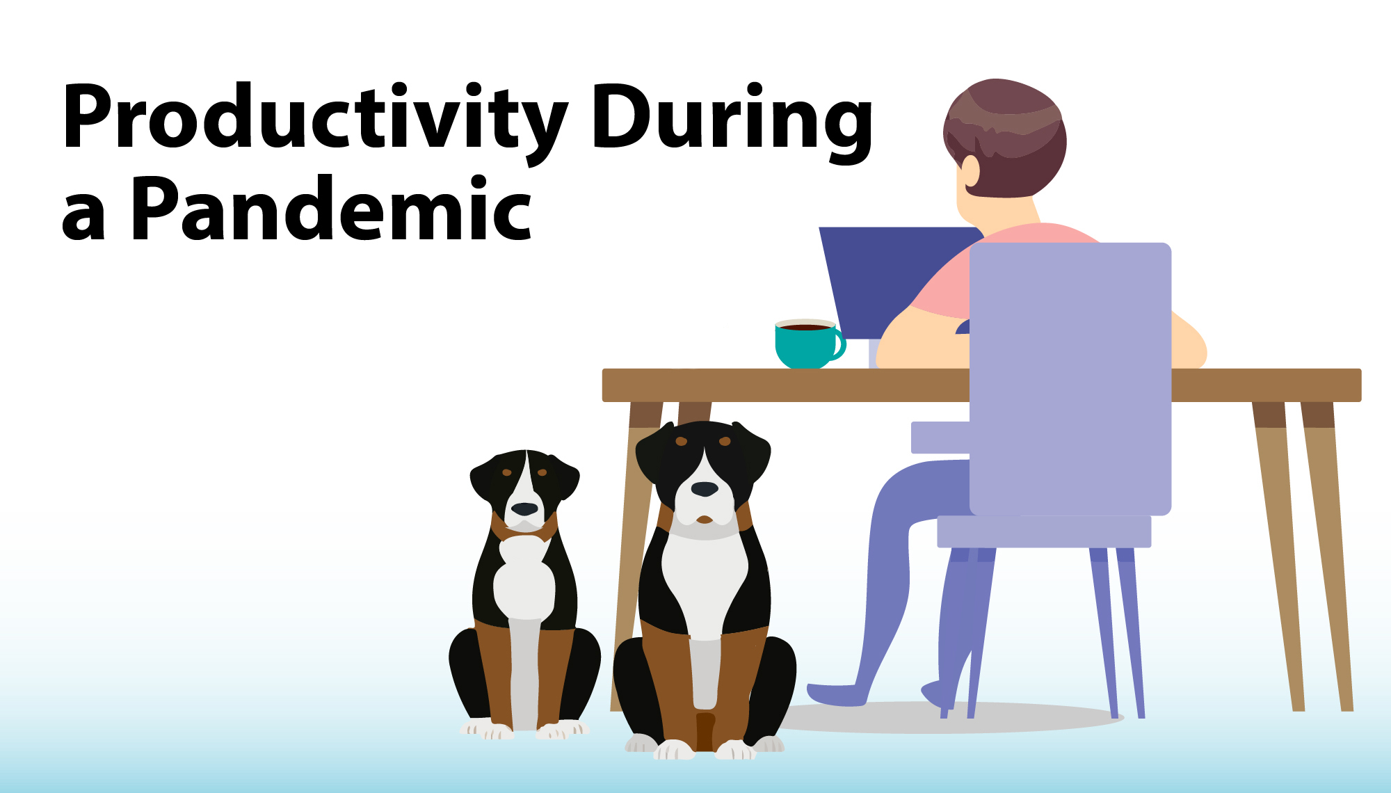 Productivity During a Pandemic