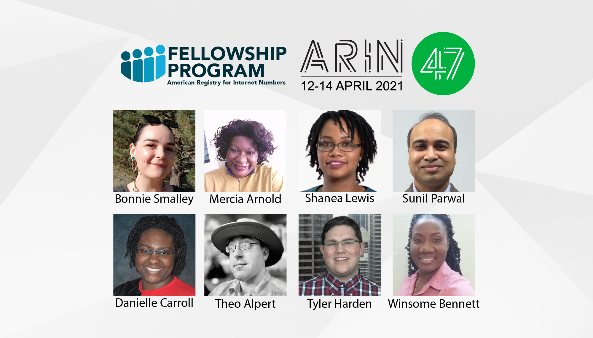 Introducing the ARIN 47 (Virtual) Fellows!