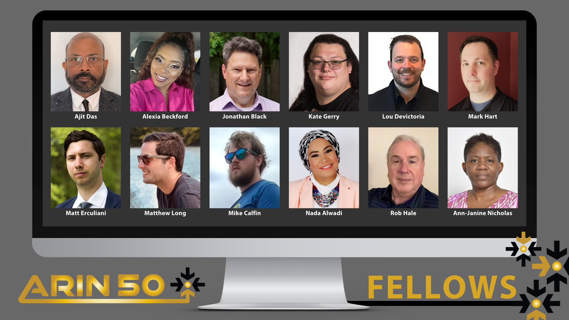 Introducing the ARIN 50 (Virtual) Fellows