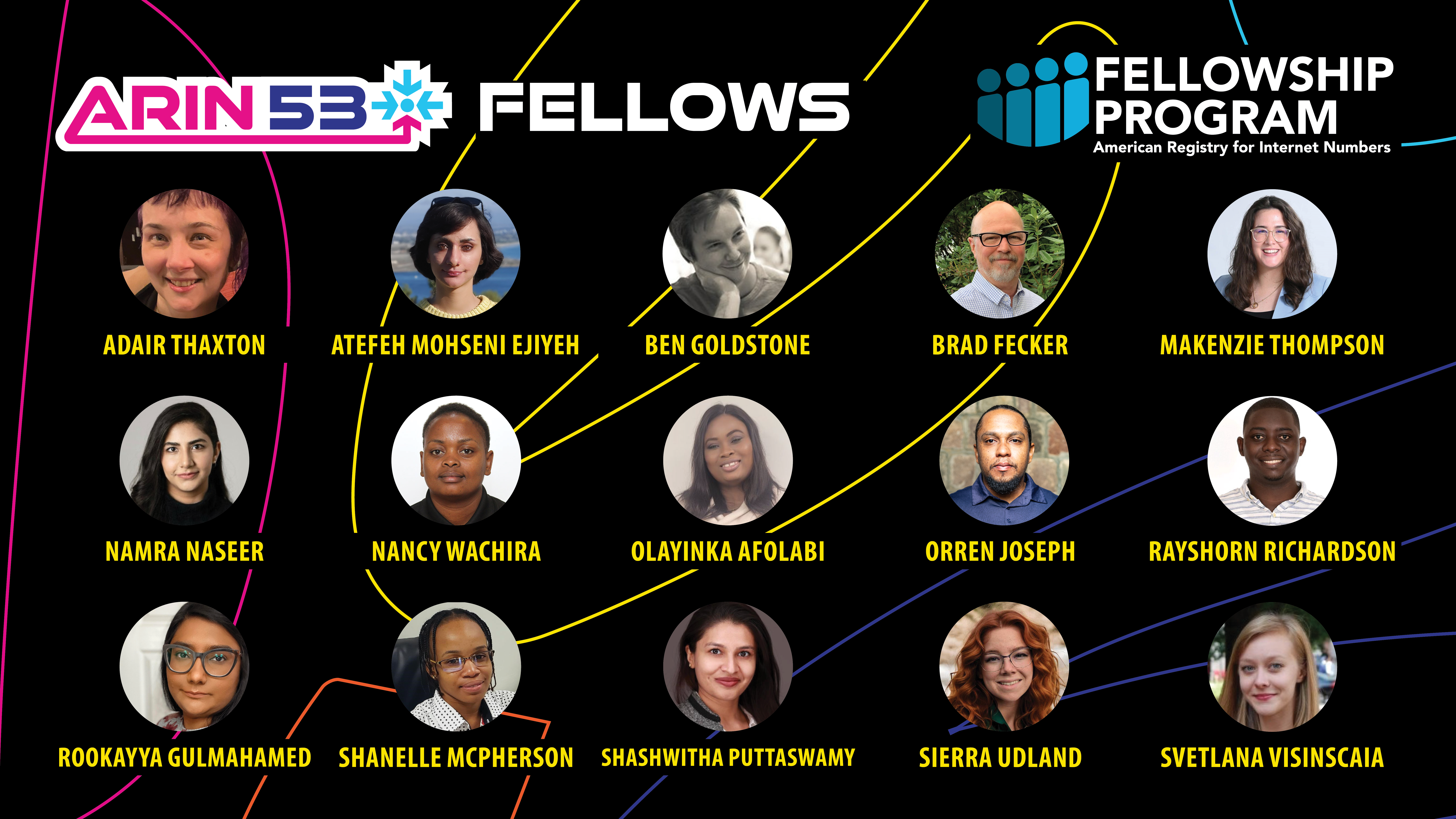 ARIN 53 Selected Fellows