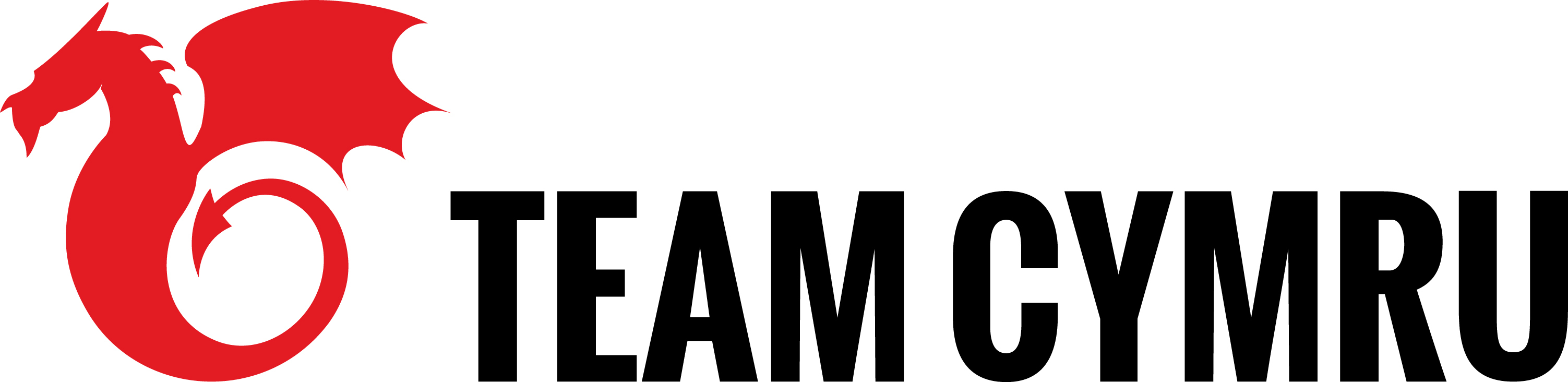 Team Cymru (Logo)