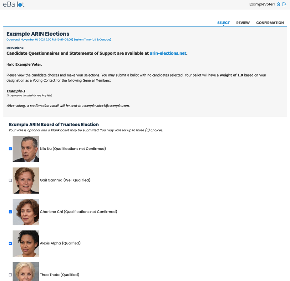 Screen shot of Example Ballot