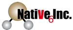 Native 6 Logo